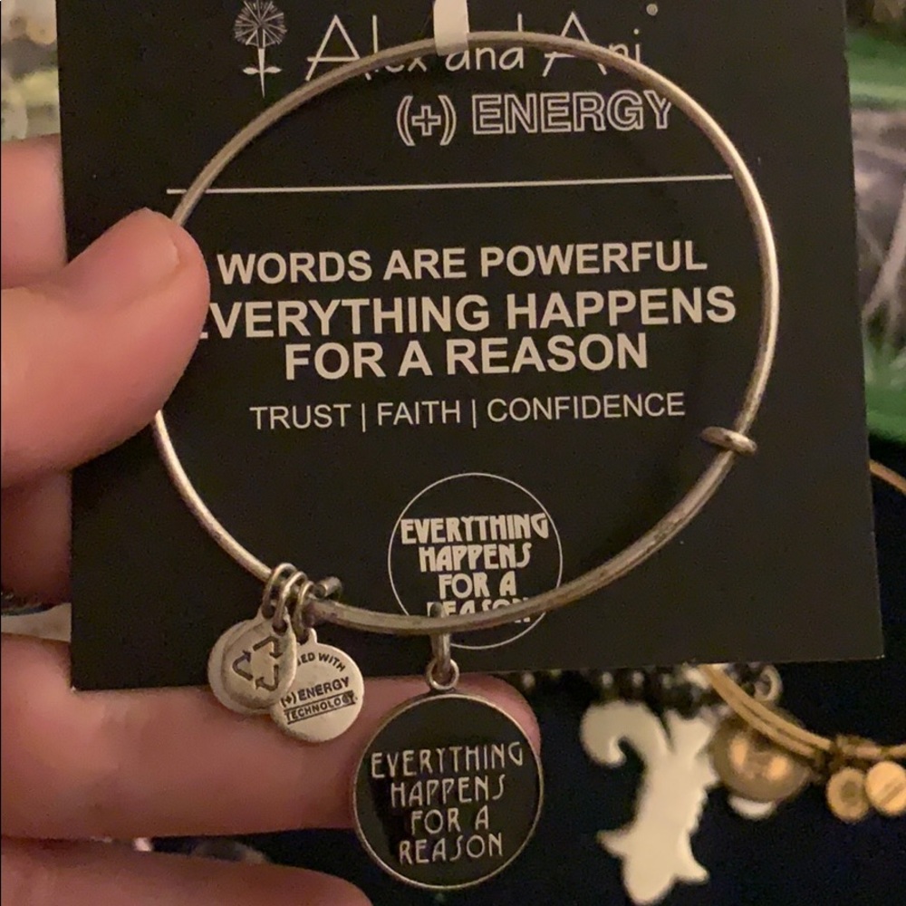Silver Alex and Ani bracelet with charm